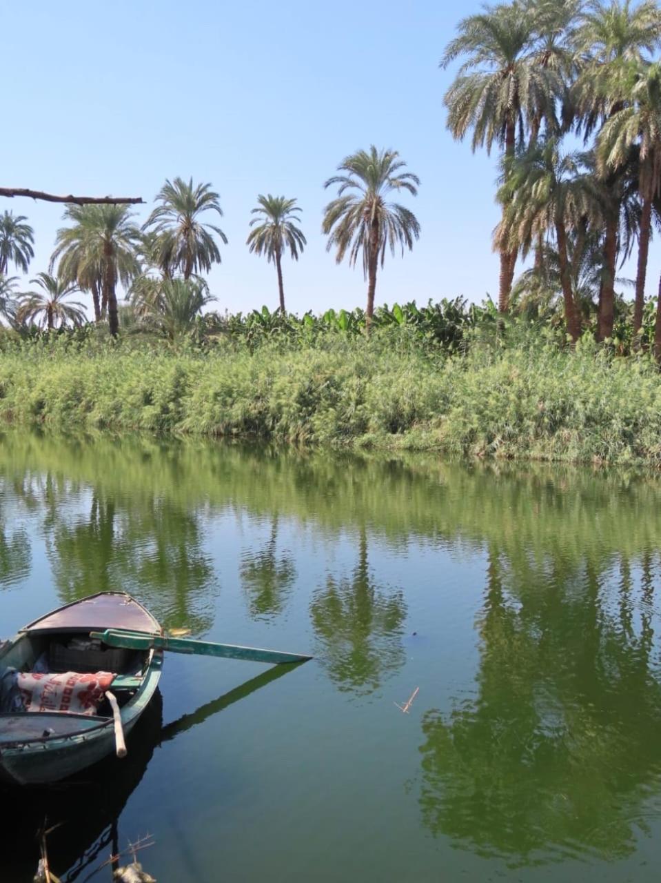 Luxor Old Nile Hotel Bagian luar foto